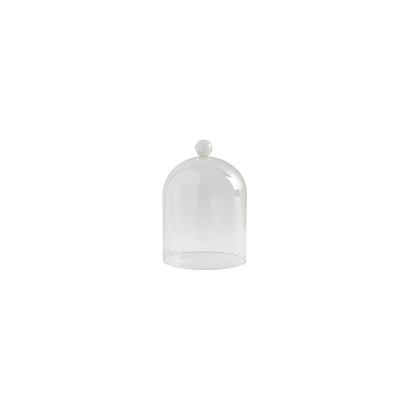 Cloche en verre dimensions...