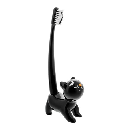 Porte brosse à dents et...