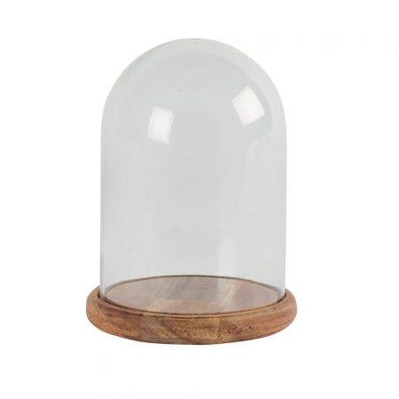 Cloche en verre PM