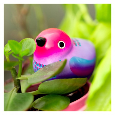 Oiseau aimant pour...