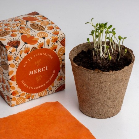 Kit d’Auto-culture Dites-le...