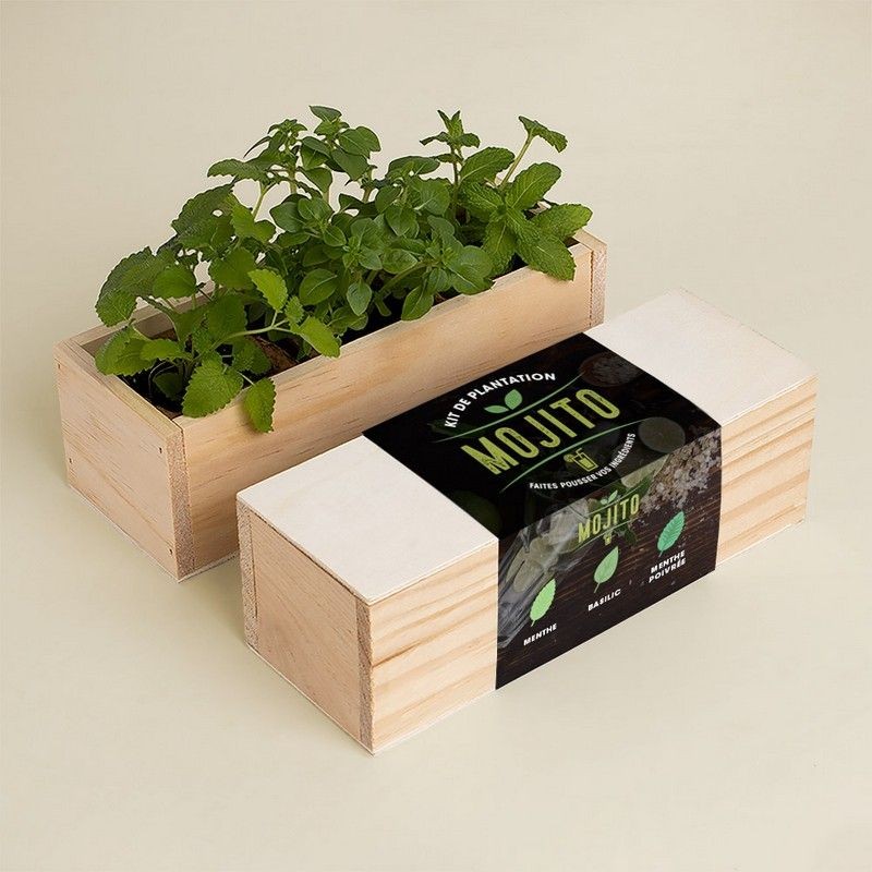 Kit de plantation