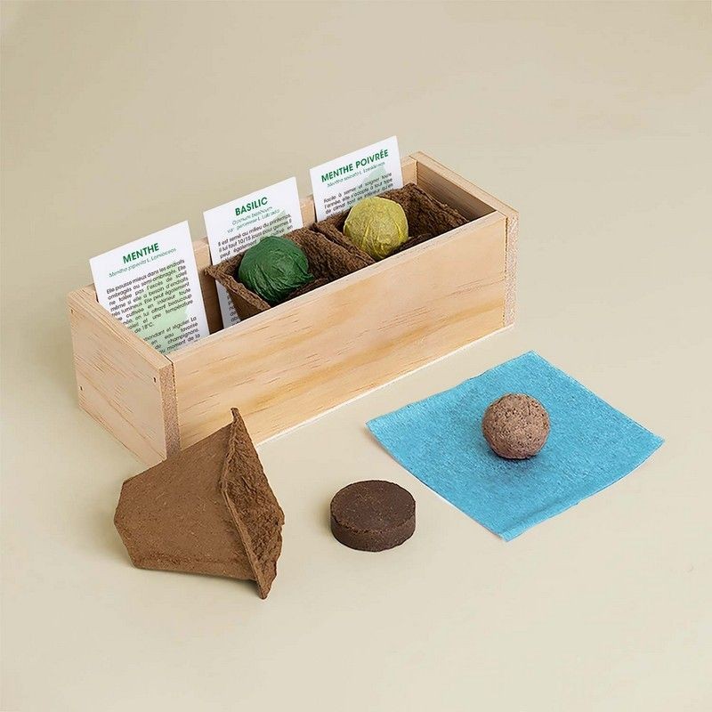 Kit de plantation -...