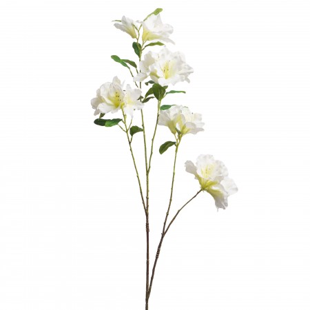 Azalée du Japon H. 96 cm blanc