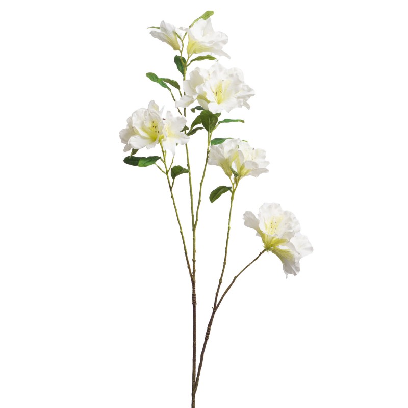 Azalée du Japon H. 96 cm blanc