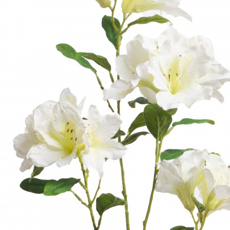Azalée du Japon H. 96 cm blanc