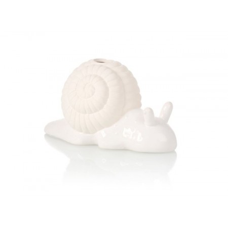 Faire germer graines Escargot