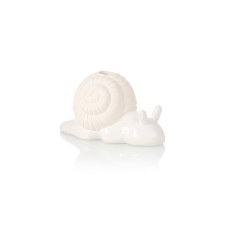Faire germer graines Escargot