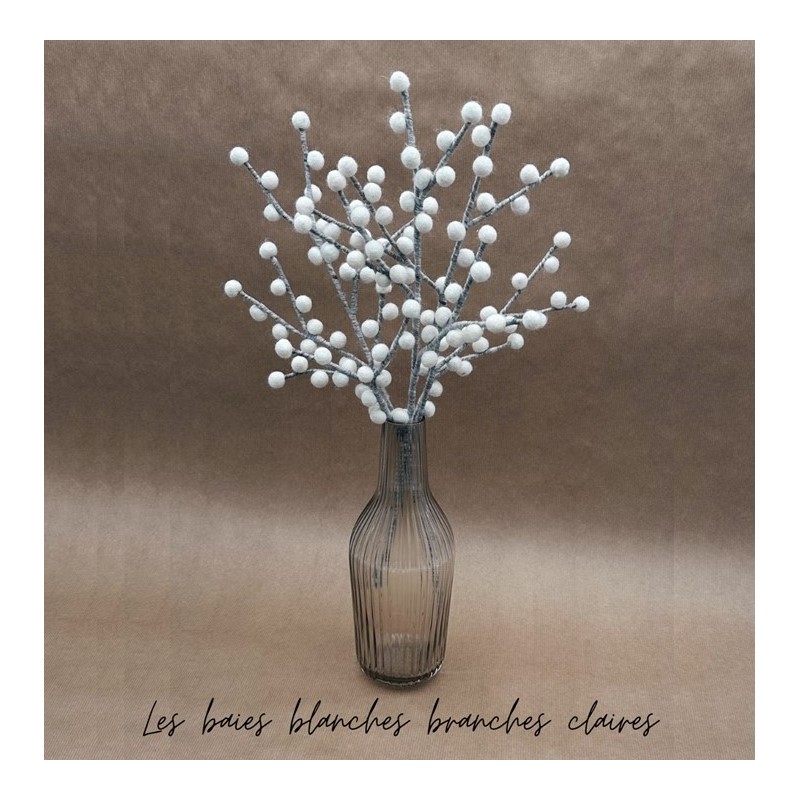 Branche de baies blanches -...