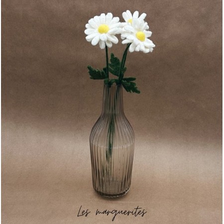 Marguerite (fleur) -...
