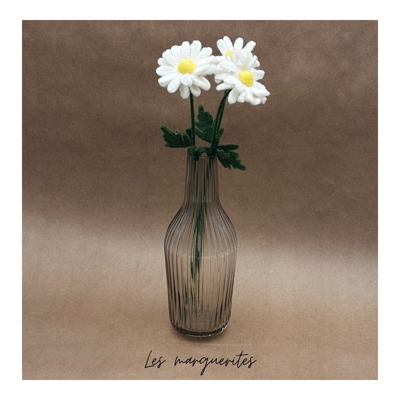 Marguerite (fleur) -...