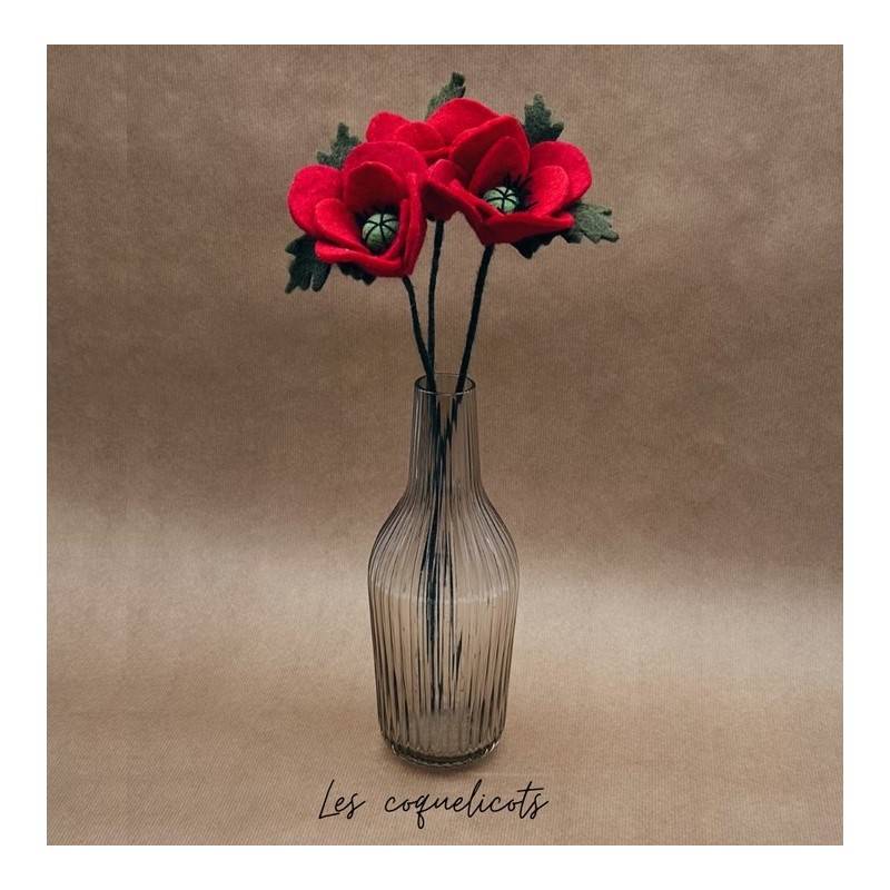 Coquelicot (fleur) -...