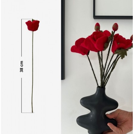 Coquelicot (fleur) -...