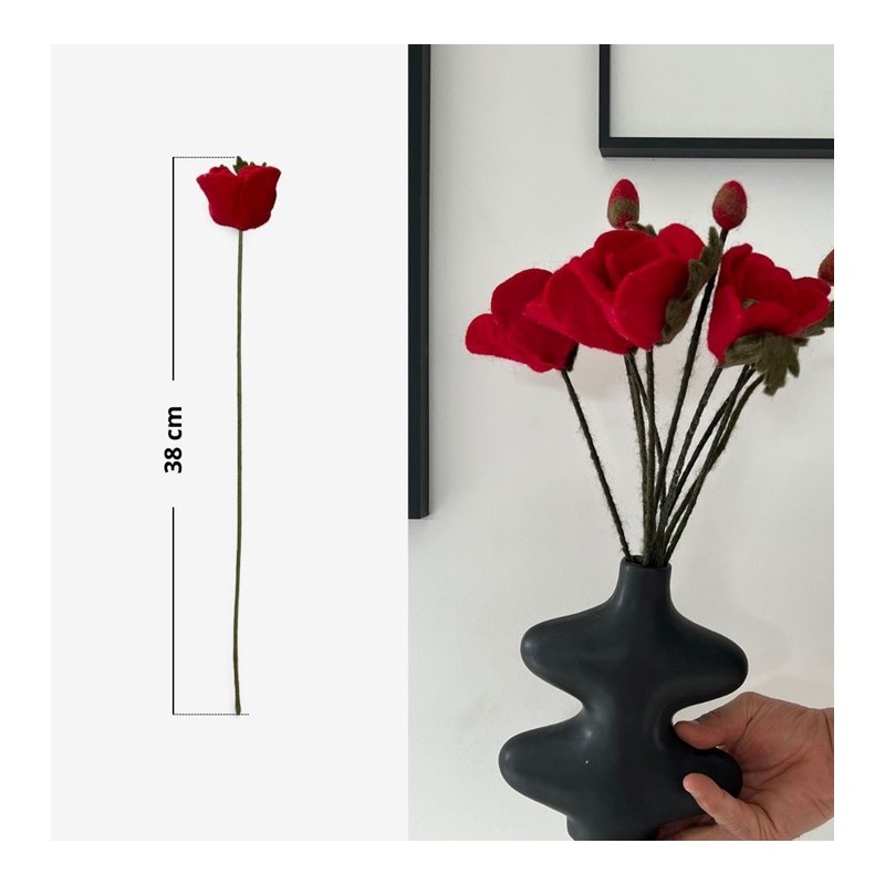 Coquelicot (fleur) -...
