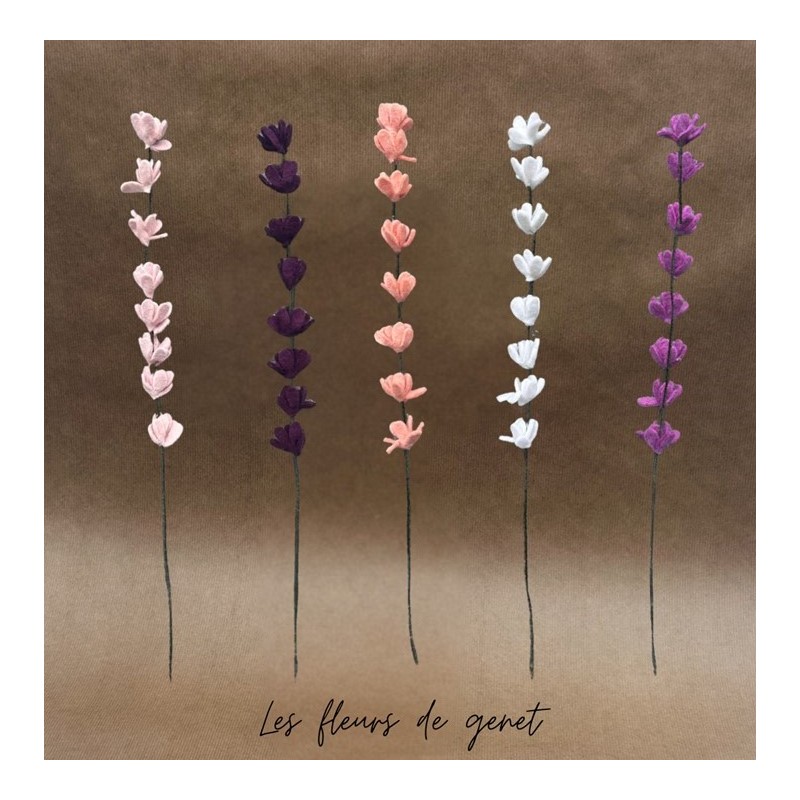 copy of Fleur de coton -...