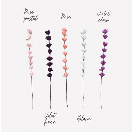 copy of Fleur de coton -...