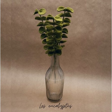 Branche d'Eucalyptus -...