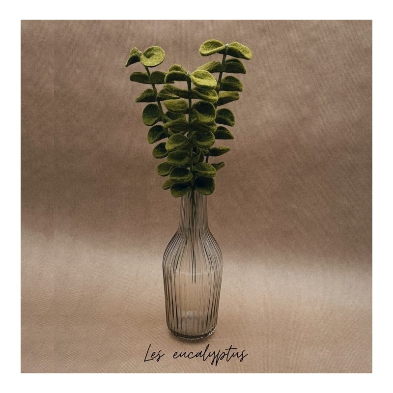 Branche d'Eucalyptus -...