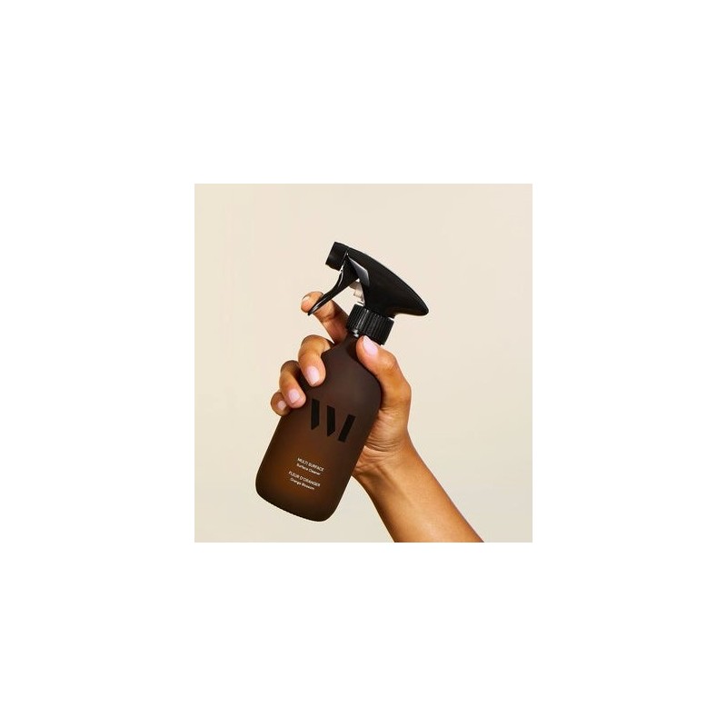 Flacon Multi Surface 290mL...