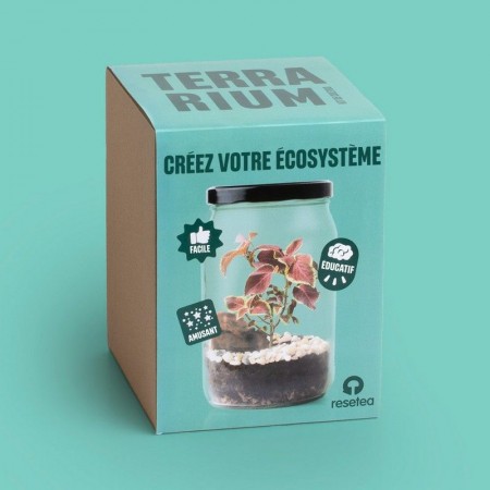 Terrarium - Resetea