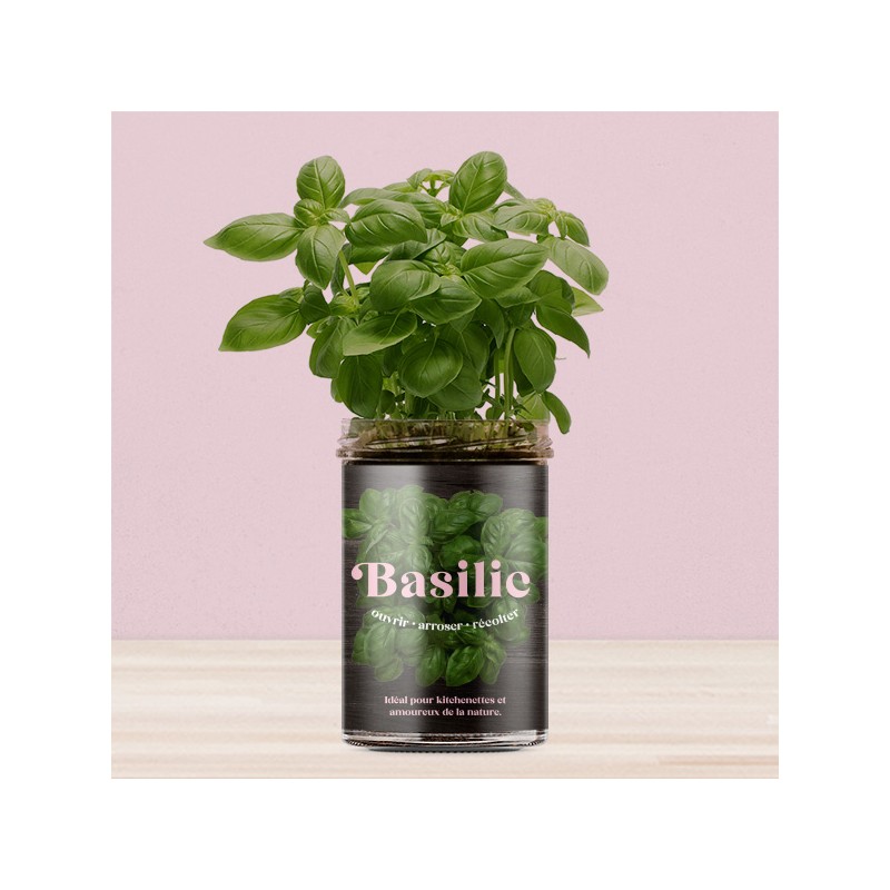 Potager pour la Cuisine -...