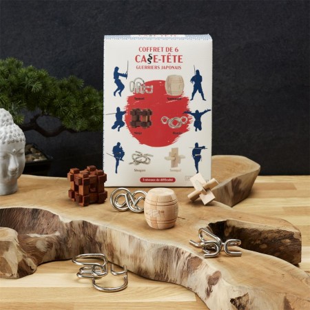 Coffret de 6 casse-têtes