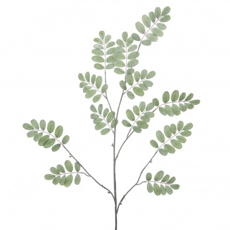 Feuille Phyllodium H.122 cm...