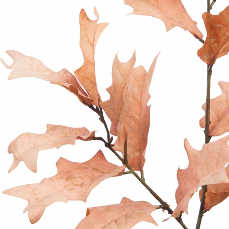 Branche houx natura H.89 cm