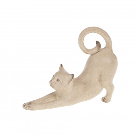 Chat Zaza crème