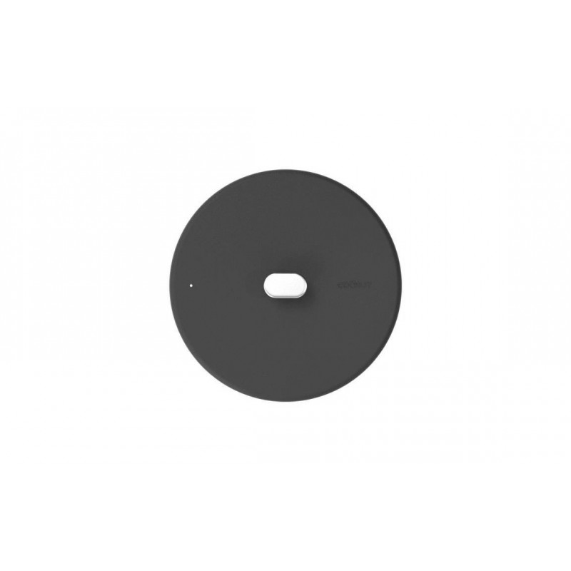 copy of La Merveilleuse...