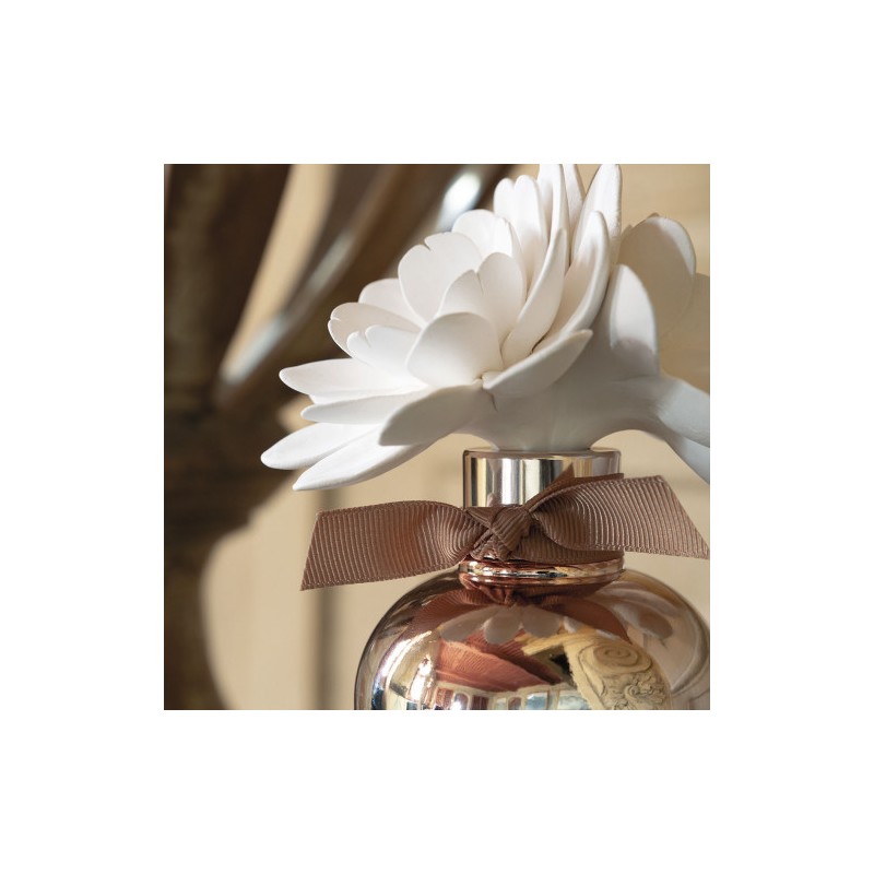 Recharge en biscuit de...