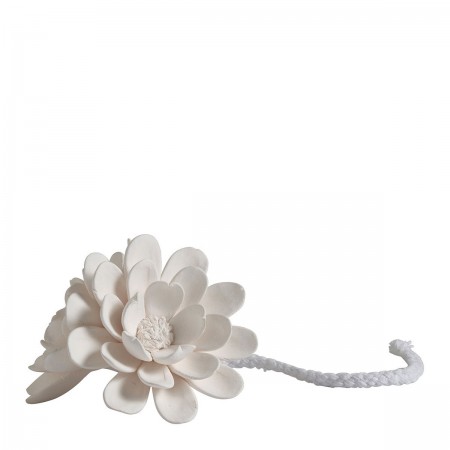 Recharge en biscuit de...