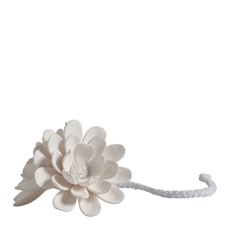 Recharge en biscuit de...