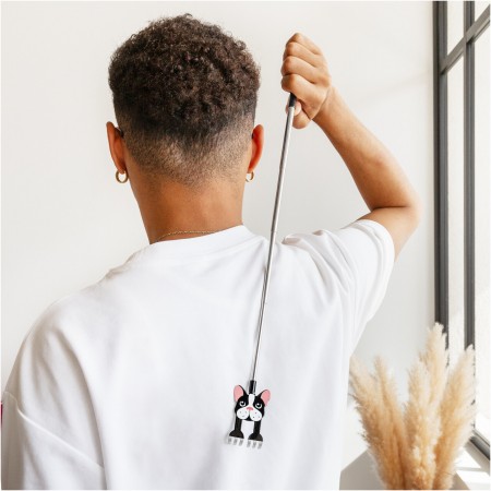 Gratte dos télescopique -...