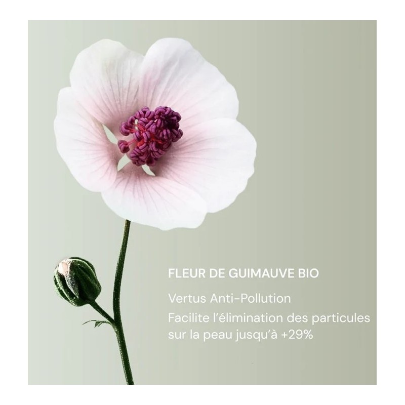 Lait Moussant Nettoyant -...