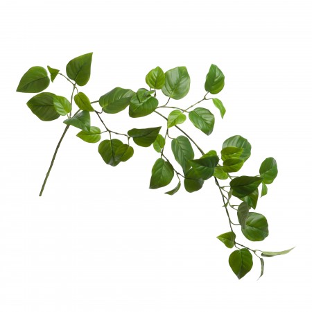 Branche Pothos L.127cm