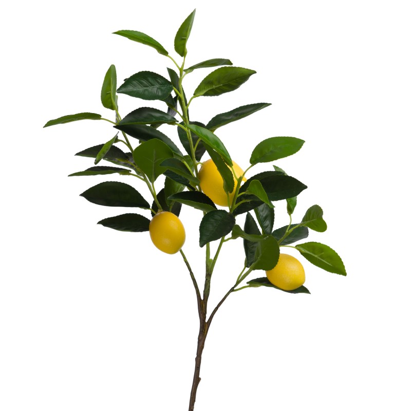 Branche citron Eureka H.75cm