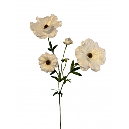 Renoncule Japonaise H55cm