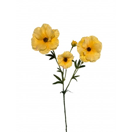 Renoncule japonaise H.55cm...