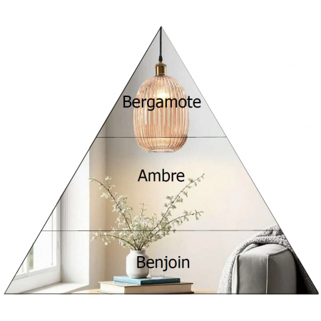 Parfum d'ambiance 100ml