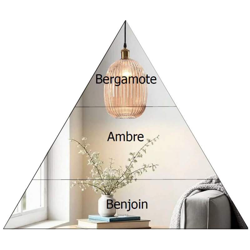 Parfum d'ambiance 100ml