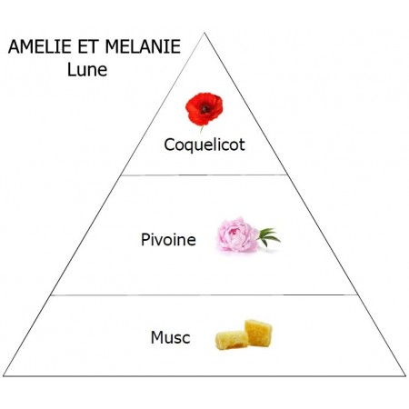 Bâton à parfum 200ml - LUNE...