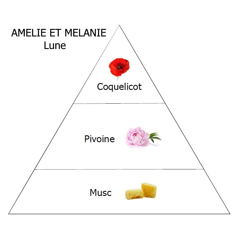 Bâton à parfum 200ml - LUNE...