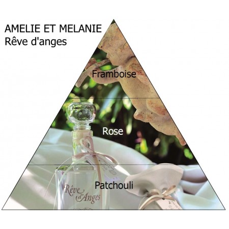 Bâtons à parfum FRAMBOISE &...