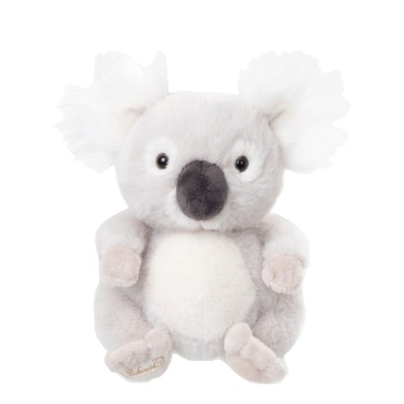 Baby Koala
