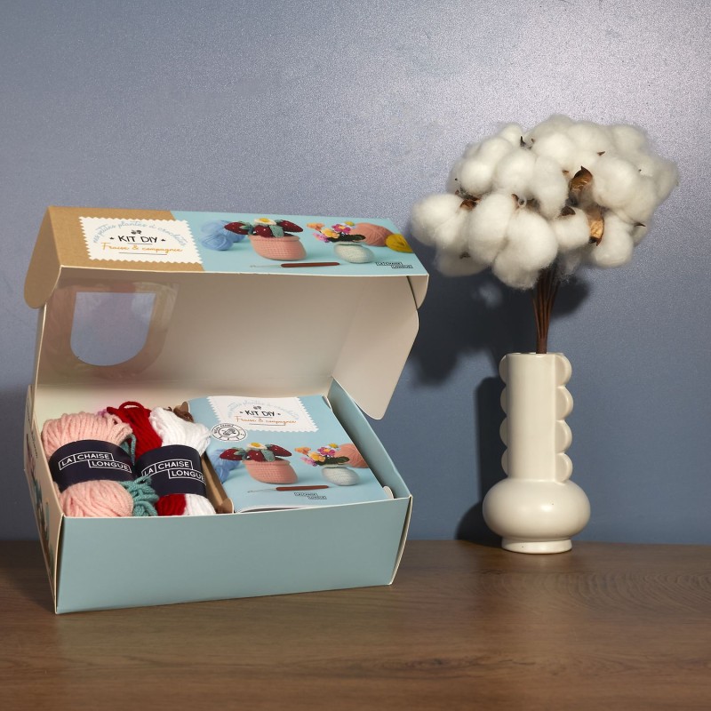 Kit crochet petites plantes