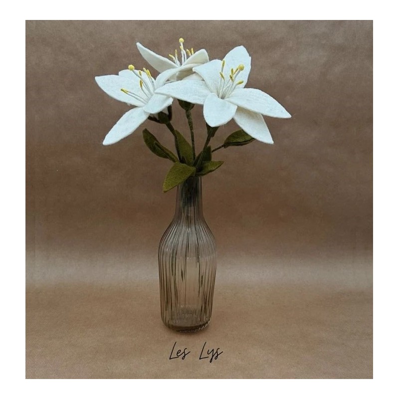 New Heidi - Lys Blanche -...