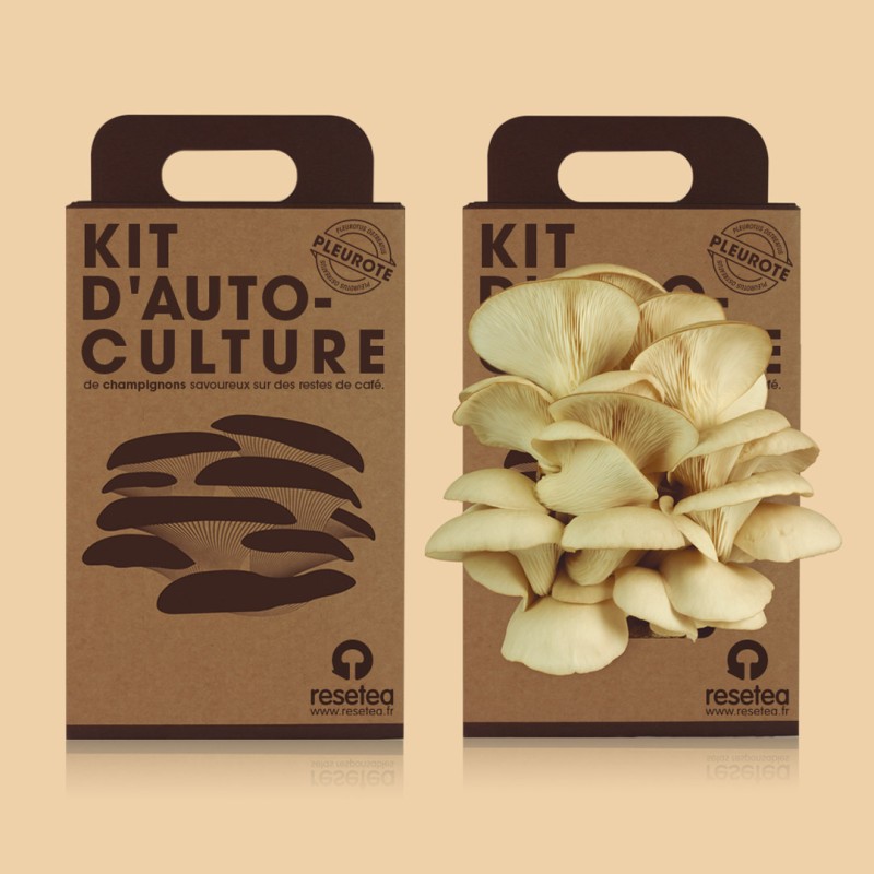 Kit d´auto-culture...