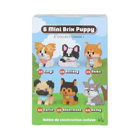 Blind Box Mini Brix