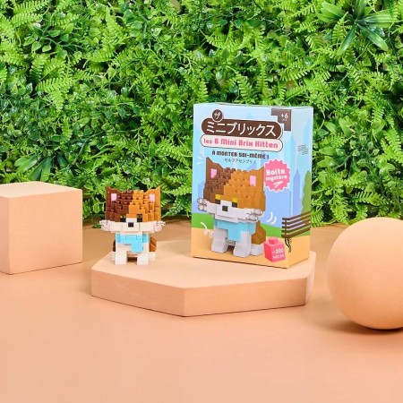 Blind Box Mini Brix - Chat...